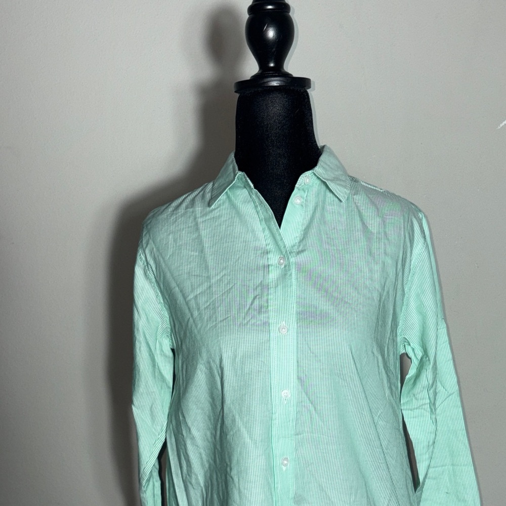 Everlane Relaxed Oxford shirt Green color with pinstripes patterns - Picture 3 of 9